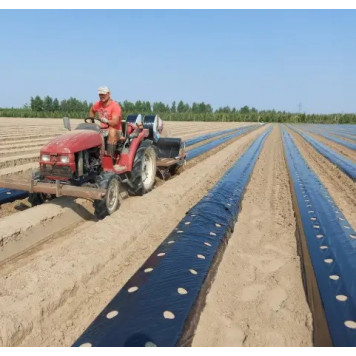 Плівка чорна перфорована 30 мкм (1.2м × 1000м) для мульчування-2