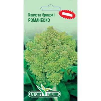 Капуста Романеско броколі, середньорання 1гр.