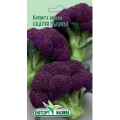 Капуста цвітна "Сицилія пьорпл"
