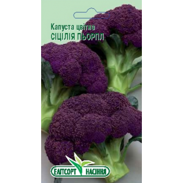 Капуста цвітна "Сицилія пьорпл", середньорання 1гр.