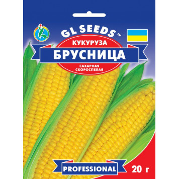 Кукурудза "Брусниця" скоростигла 20гр.