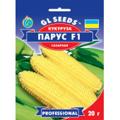 Кукурудза "Парус"