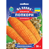 Кукурудза суперрання "Попкорн"