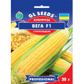 Кукурудза "Вега"