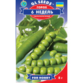 Горох "Шість тижнів"