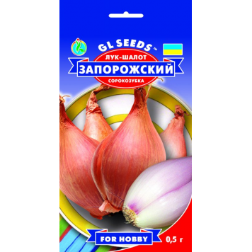 Цибуля шалот запорізька (сорокозубка)