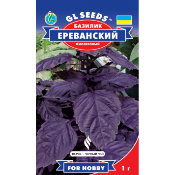 Базилік фіолетовий "Ереванський"  