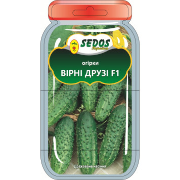 Насіння огірків кущових "Вірні друзі" F1 15шт.