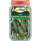 Огірок кущовий "Мальчик с пальчик"