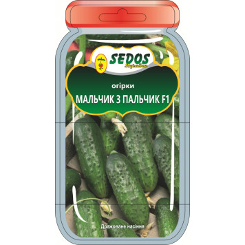 Насіння огірків кущових "Мальчик с пальчик" F1 15шт.