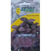 Базилік фіолетовий