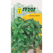 Базилік "Зелений"