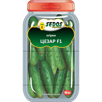 Насіння огірка Цезарь F1 35шт.