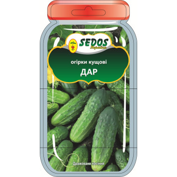 Насіння огірків кущовий "ДАР" 35шт.