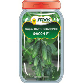 Огірок "Фасон"