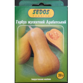 Гарбуз мускатний "Арабатський"