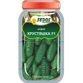 Огірок "Дарунок осені"