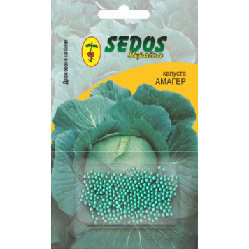 Насіння капусти "Амагер" 100шт.