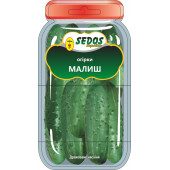 Огірок "Малиш"