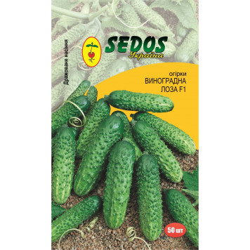 Насіння огірка "Виноградна лоза" F1