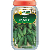 Огірок Родос