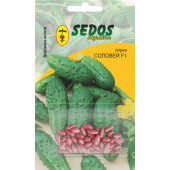 Огірок "Ізящний"