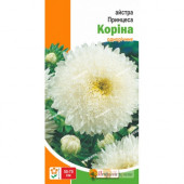 Астра "Принцесса  Коріна"