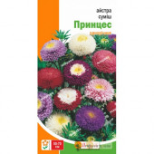 Астра "Принцес"