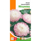 Астра "Яблунєва"