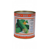 Огірок "Фенікс+"