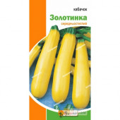 Кабачок "Золотинка "