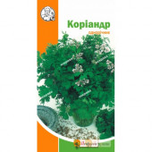 Коріандр однорічний