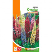 Люпин багаторічний Суміш