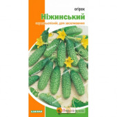 Огірок Ніжинський