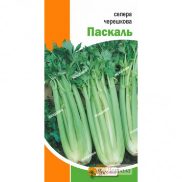 Селера кущова "Паскаль" 0,5 гр.
