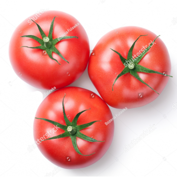 Томат "Дар Заволжя"