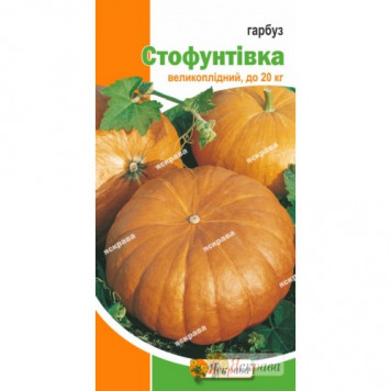 Гарбуз "Стофунтівка" 3гр.