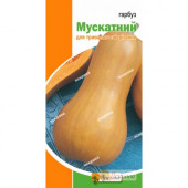 Гарбуз Мускатний