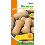 Гарбуз "Новинка"