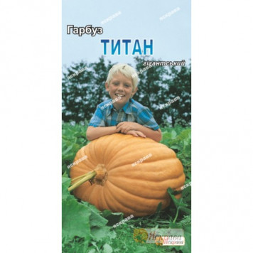 Гарбуз Титан 3гр.