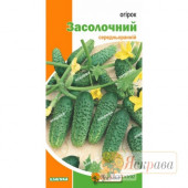 Огірок "Засолочний"