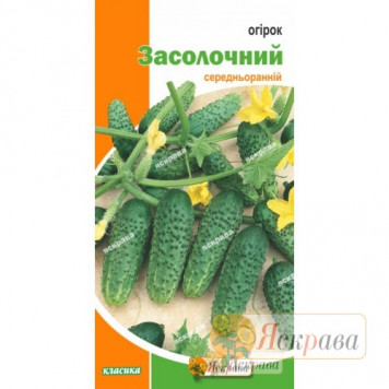 Насіння середньораннього огірка "Засолочний" F1 7гр.