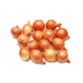 Цибуля-сівок "Штудгартен Ризен" (Штутти)