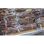 Закладання живців на зимове зберігання