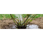 Вологозарядковий полив восени