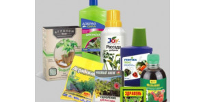 Коли обробляти томати від хвороб і шкідників за місячним календарем у 2026 році