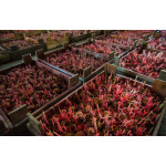 Як правильно зберігати картоплю взимку