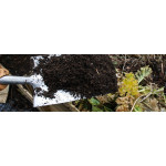 Компостна купа восени