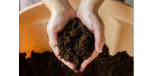 Як правильно підготувати ґрунт для розсади