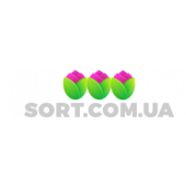 Мікрозелень «Крес-салат»